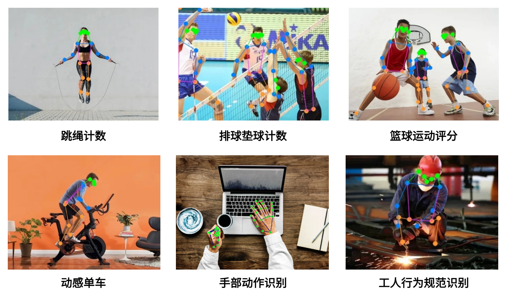 人体关键点算法定制示意